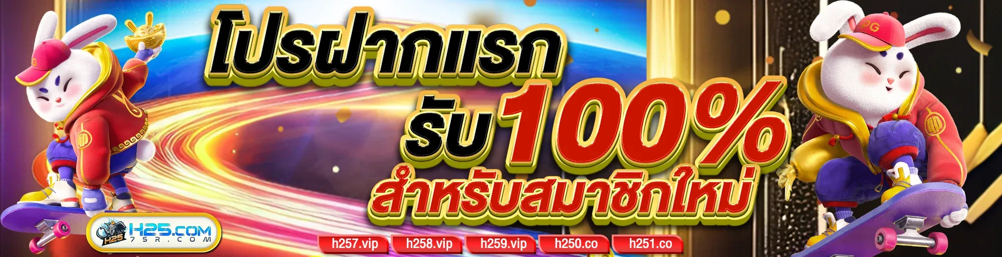 H25-first-d-user-h25v1